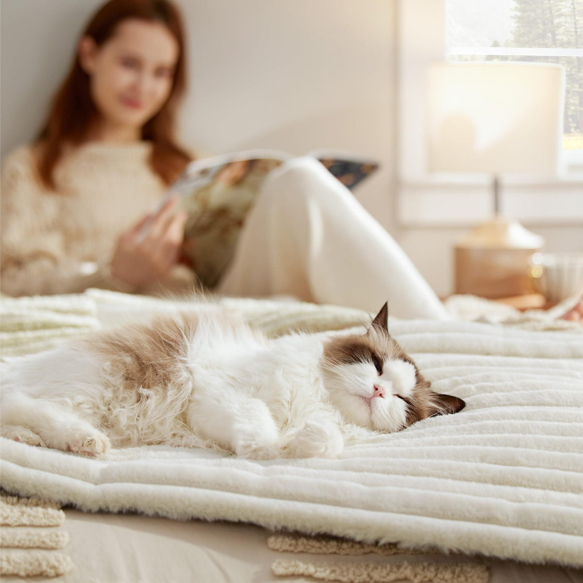 Cat resting on a self-warming mat at home