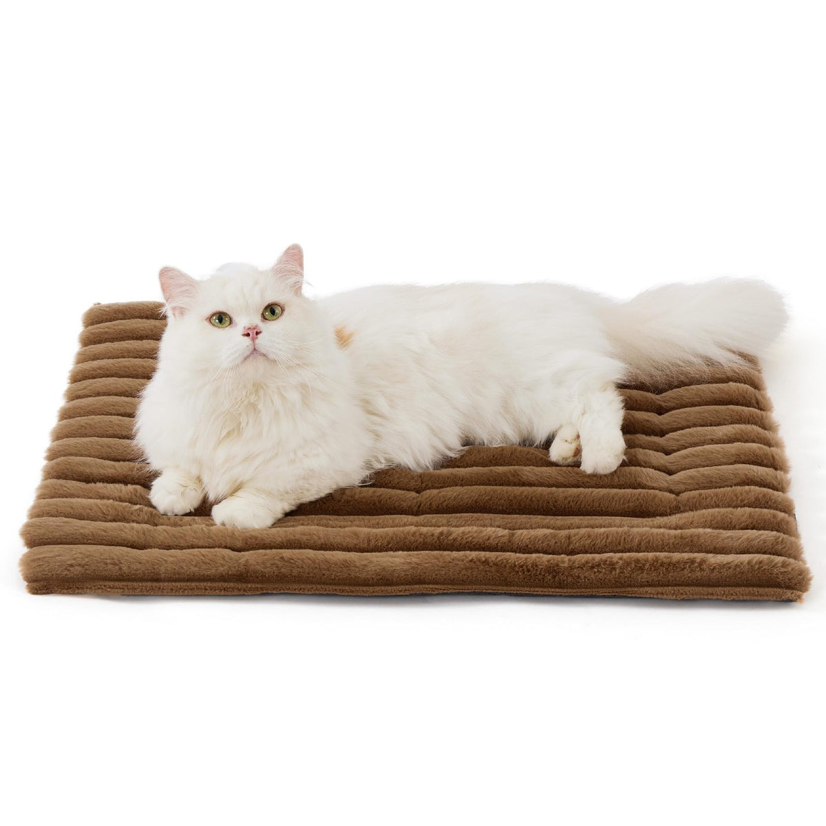 Self-warming cat bed mat in brown
